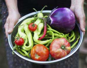 Get Your Local Food From a CSA Image